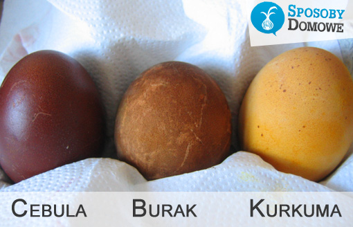 Naturalne barwienie jajek - efekt końcowy