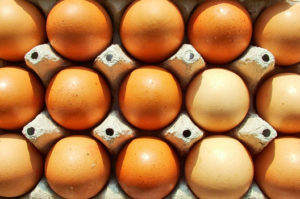 Skorupki jajka - źródło wapnia