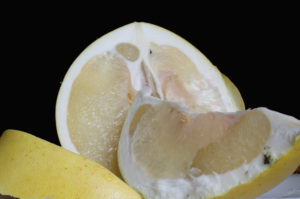 Pomelo