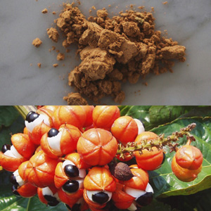 Guarana w proszku oraz owoce