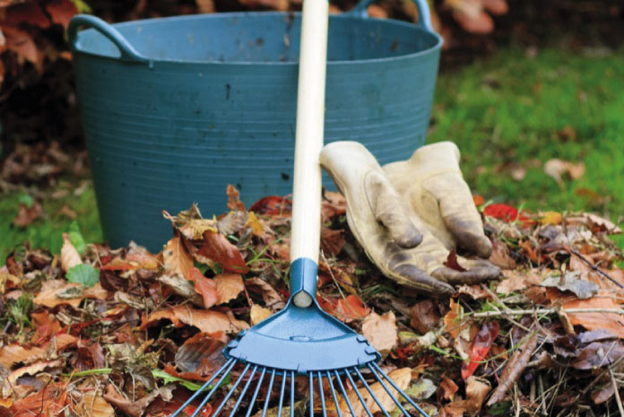 Porządki w ogrodzie po zimie Porządki w ogrodzie po zimie