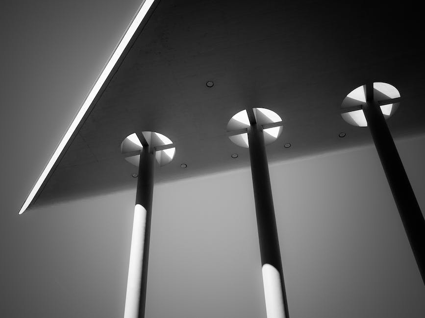 Jak zrobić dach budy dla psa?