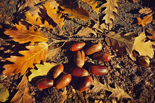 Jakie wymiary ma listek papieru? Jakie wymiary ma listek papieru?